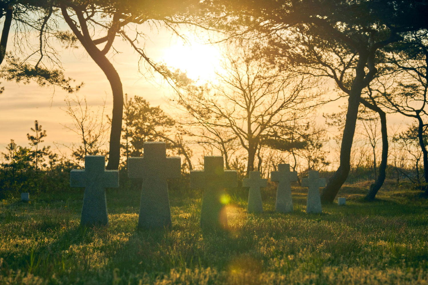 Imagem de várias cruzes em um cemitério representando o dia dos finados